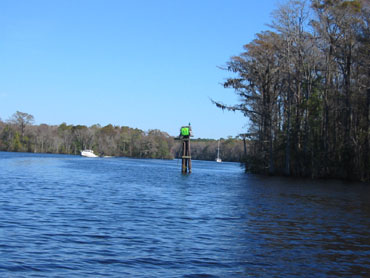 Black Creek Marker 65