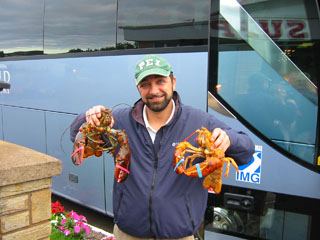 Normal & Albino Lobster