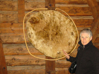Beaver Pelt