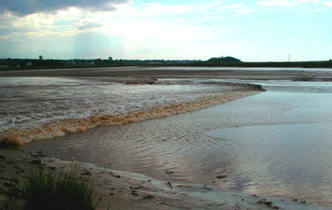 Tidal Bore